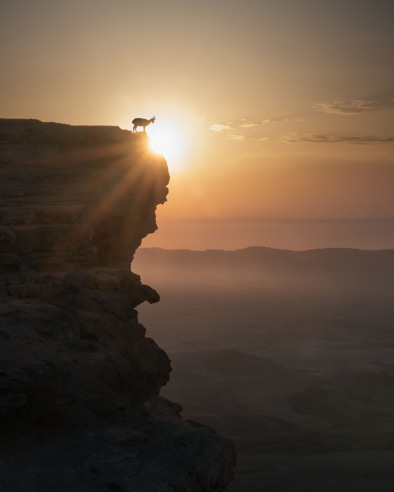 Sonnenaufgang in der Wüste from Nadav Jonas