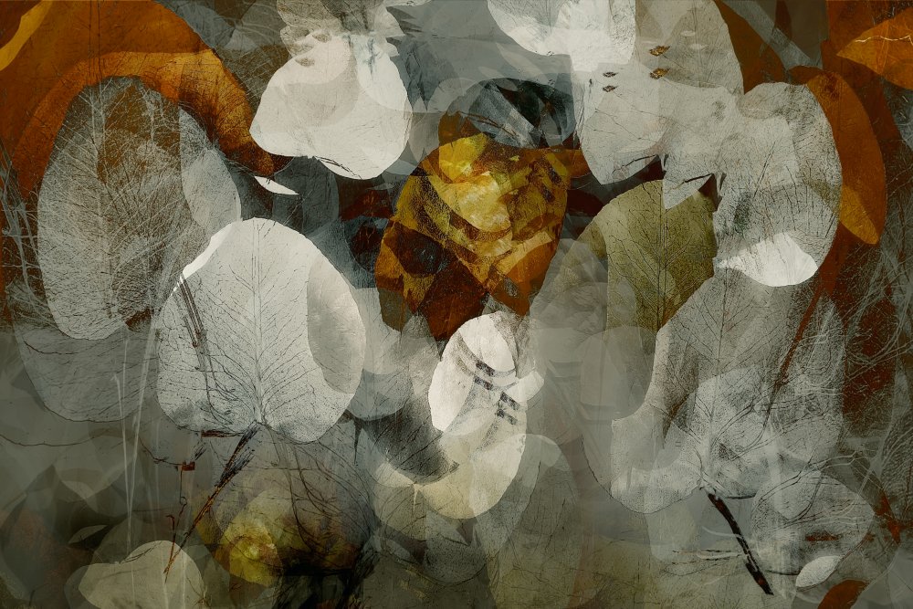 Herbstzusammenfassung from Nel Talen