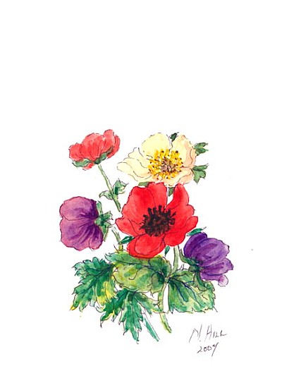 Anemones, 2007 (w/c on paper)  from Nell  Hill