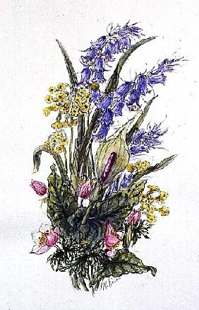Bluebell posy with cowslips, dogroses and lily 