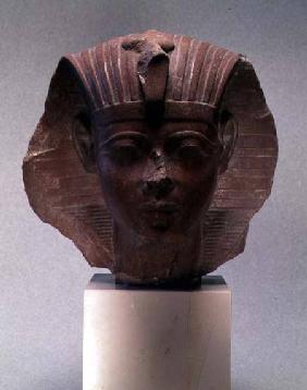 Head of a sphinx, possibly Amenophis II