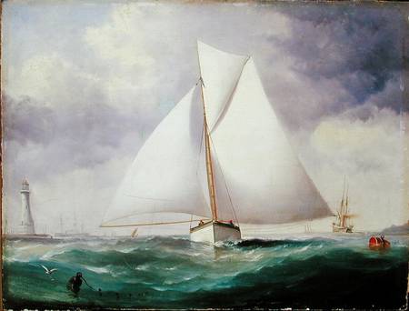 The Spinnaker Sail from Nicholas Matthews Condy