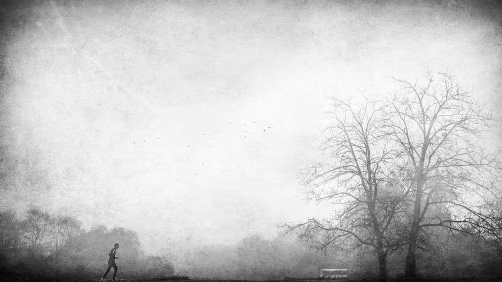 Rennen im Nebel from Nicodemo Quaglia