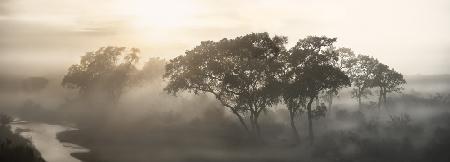 SAVANA SONNENAUFGANG