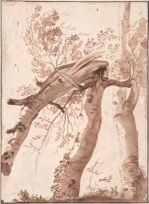 Two Silver Birches, the Front One Fallen from Nicolas Poussin