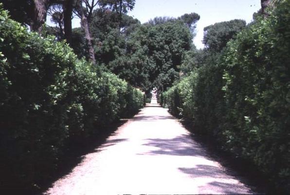 View of the garden, detail of the walkway lined with boxwood hedges, designed by Nanni di Baccio Big from 