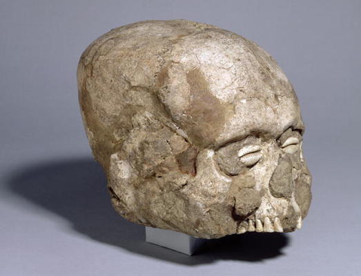 Portrait skull with cowrie shell eyes, Jericho, c.7th millennium BC (skull, plaster, shell) (3/4 vie from 