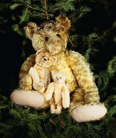 A Large Steiff Golden Curley Plush Covered Teddy Bear In A Christmas Tree With His "Inseparable Frie from 