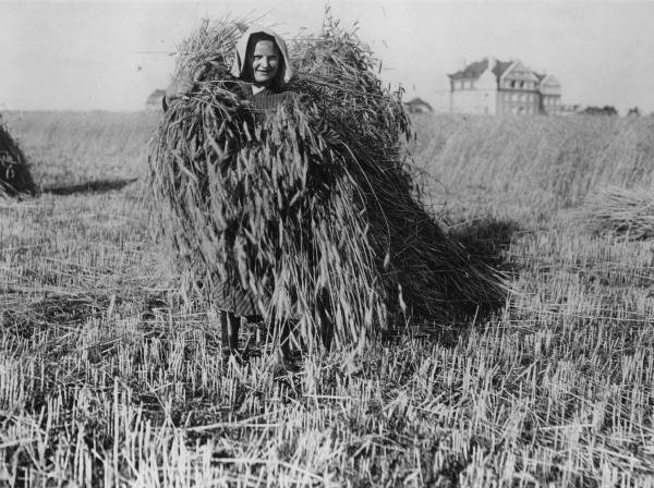 Arbeiterin bei Getreideernte, nach 1914 from 
