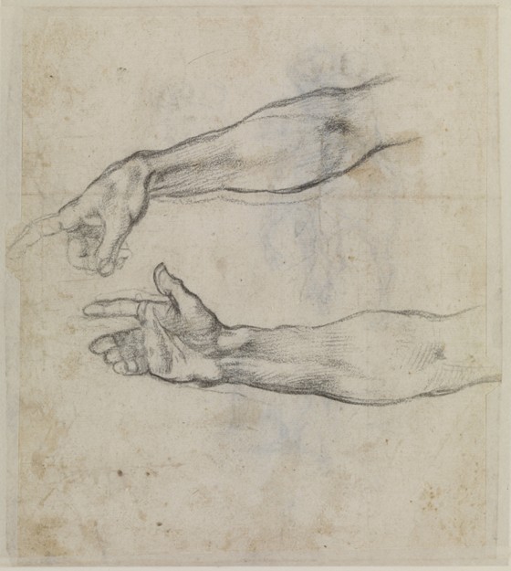 Studies of an outstretched arm for the fresco "The Drunkenness of Noah" from 