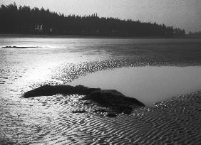 Beach near Palghar, Dt Thane (b/w photo) 