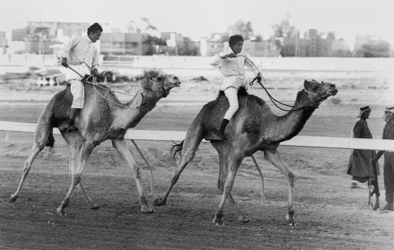 Camel race in Saudi Arabia in honour of Queen Elizabeth II's visit to to the Middle East from 