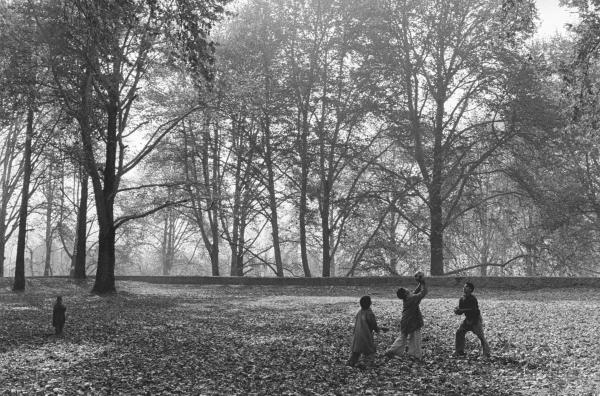 Children playing under chinar trees during fall, Srinagar (b/w photo)  from 