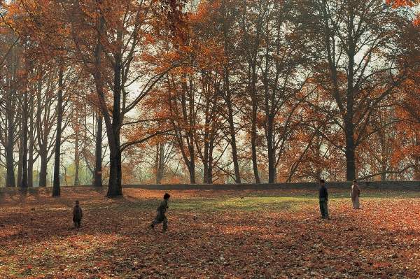 Children playing under huge Chenar trees in autumn, Nishat Bagh, Srinagar (photo)  from 