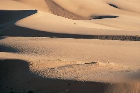 Coral pink sand dunes (photo) 