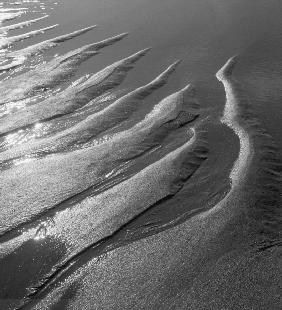 Creepers designs and pebble on sand, Porbandar (b/w photo) 