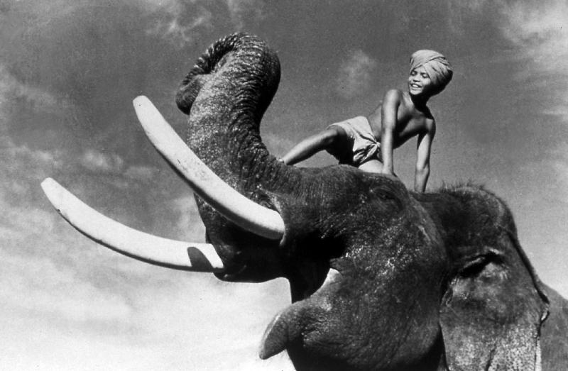ELEPHANT BOY, de RobertFlaherty et ZoltanKorda avec Sabu from 