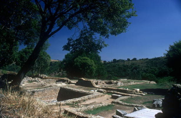 Excavations of the Roman-Etruscan Town (photo) from 