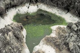 High tide water trapped in depression & dried salt, Gorapata Beach (photo) 