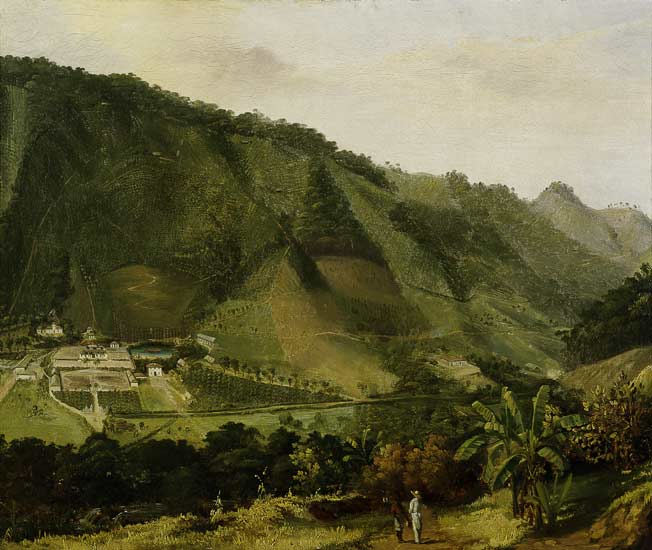 Martinique, Landschaft / Gemaelde 19.Jh. from 