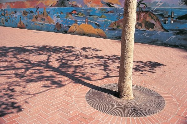 Shadow of tree marked passage of time on foot-path (photo)  from 