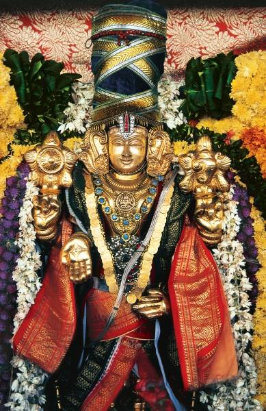 Shreenivas Perumal lord Vishnu during Masimagham festival at Pondicherry Union Territory (photo)  from 