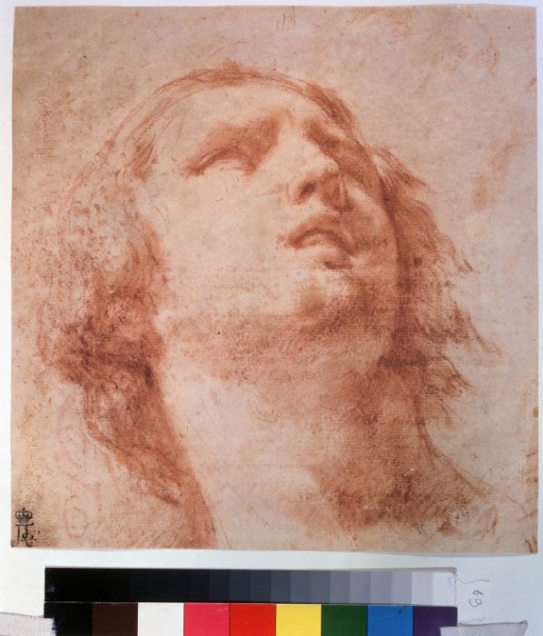 Head study of a woman looking up from 