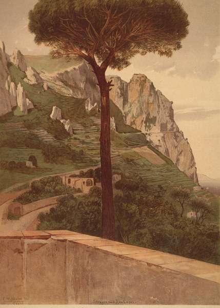 Straße nach Anacapri, C.W. Allers from 