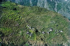 Step-fields north of Kathmandu (photo) 