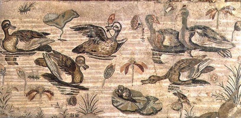 Scene of waterfowl on the Nile from the House of the Faun, Pompeii, 2nd century BC (mosaic) from 