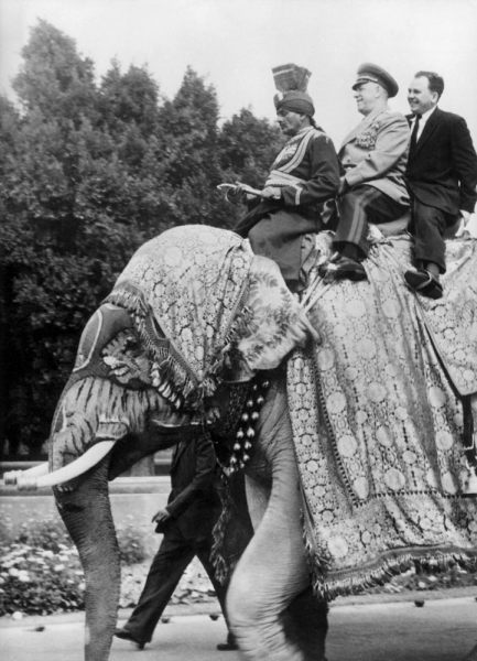 The field marshal Georgi Joukov, soviet Defence minister in New Delhi in India on an elephant from 