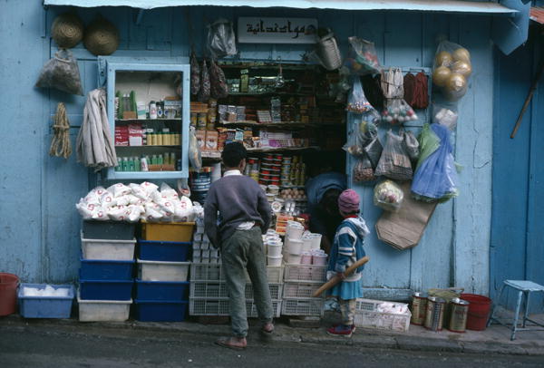 The grocer''s shop (photo)  from 