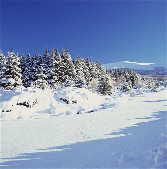 The Wicklow Mountains in Winter from 