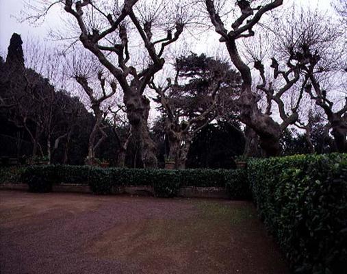 The Garden of the 'Alberi Secolari' (Age-Old Trees) designed for Cardinal Pietro Aldobrandini by Gia from 