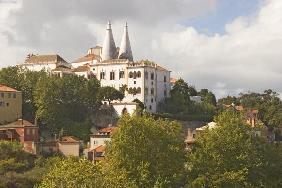 View of the National Palace (photo) 