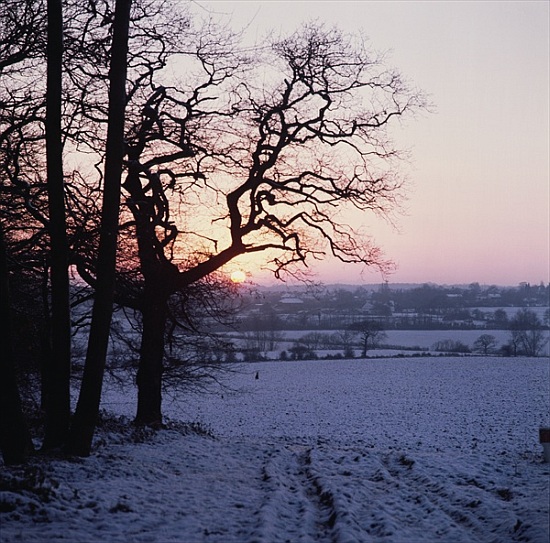 Winter scene in the snow, Hockley, Essex from 