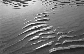 Wet sand, Porbandar (b/w photo) 