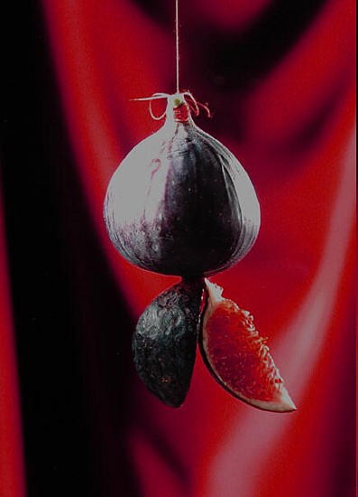 Fig on a string with segments, 2003 (colour photo)  from Norman  Hollands
