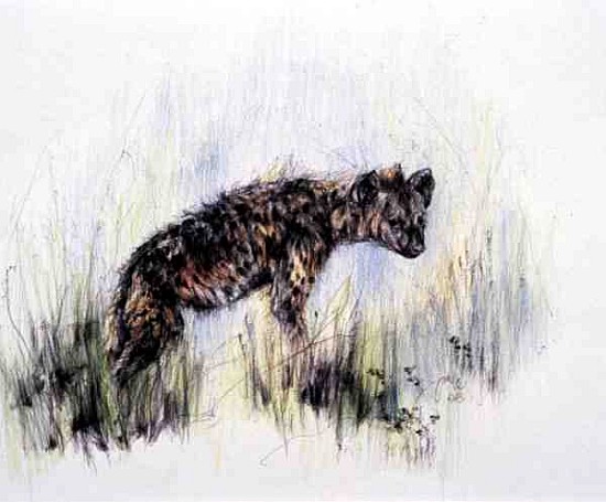 Baby Hyena, 1995 (pen, pencil and crayon on paper)  from Odile  Kidd