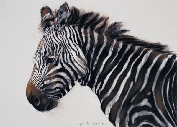 Zebra, 2002 (charcoal & chalk)  from Odile  Kidd