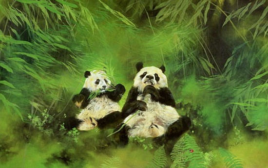 Pandas, 1998 (acrylic and pencil on canvas)  from Odile  Kidd