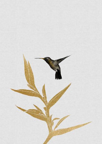 Kolibri &amp; Blume Ii