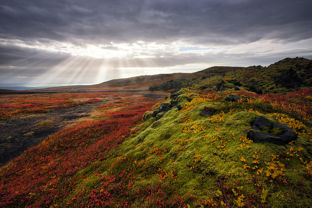 Licht und Farben des Herbstes from Þorsteinn H. Ingibergsson