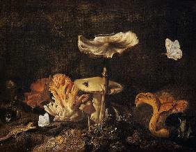 Still Life with Mushrooms and Butterflies
