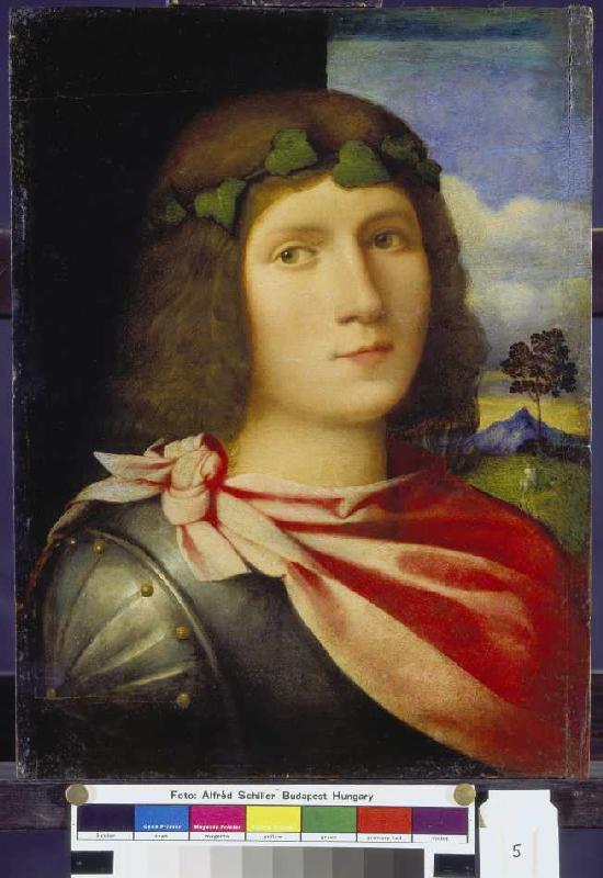 Brustbild eines Jünglings. from Palma il Vecchio (eigentl. Jacopo Negretti)