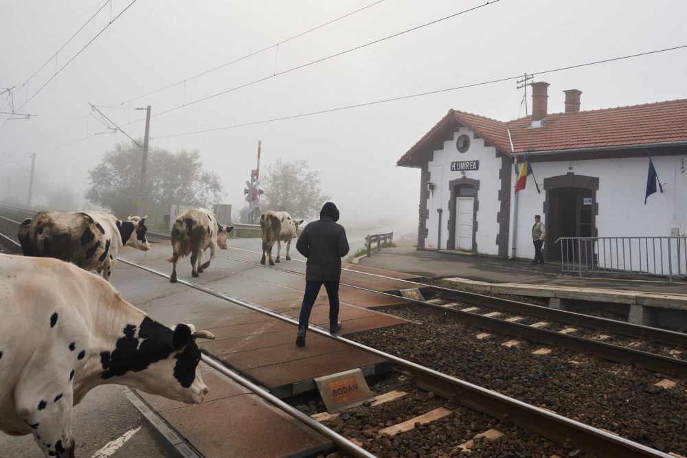Morgen am Bahnhof from Panfil Pirvulescu