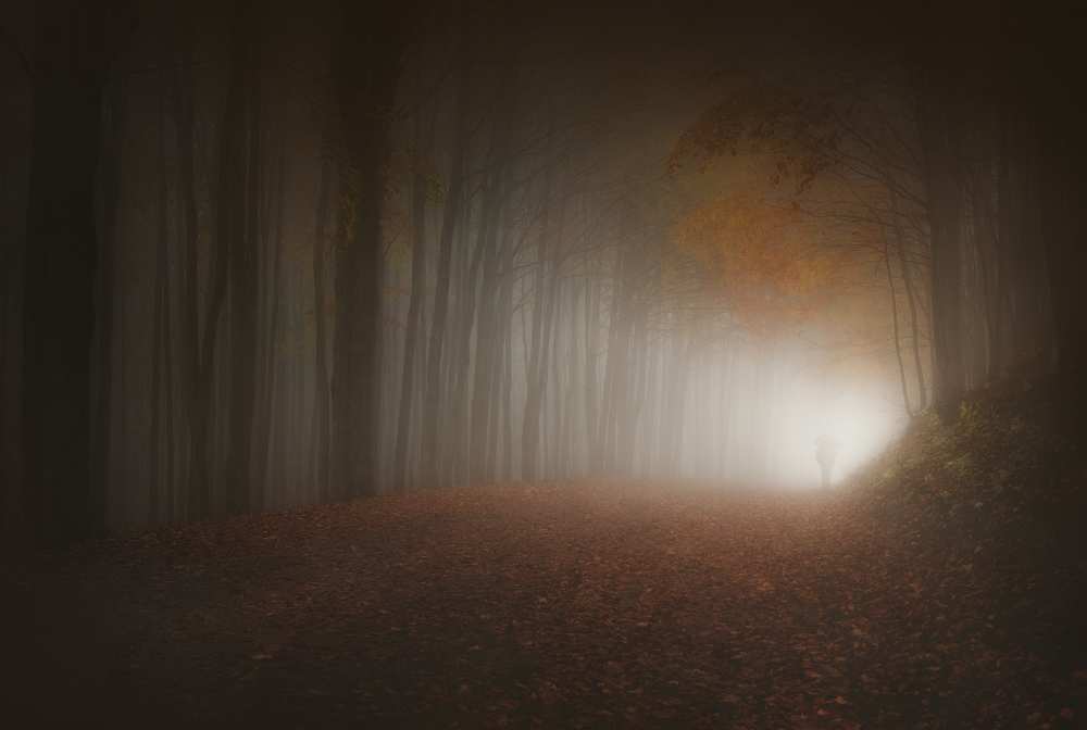 Last Light of Autumn from Paolo Lazzarotti