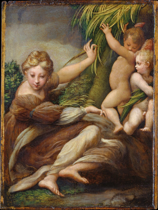 Märtyrerin mit zwei Engelsknaben (Die heilige Katharina von Alexandrien?) from Parmigianino