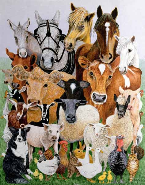 Animal Allsorts (oil on canvas)  from Pat  Scott