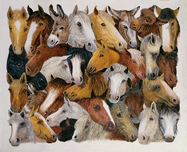 Horses Horses (oil on canvas)  from Pat  Scott